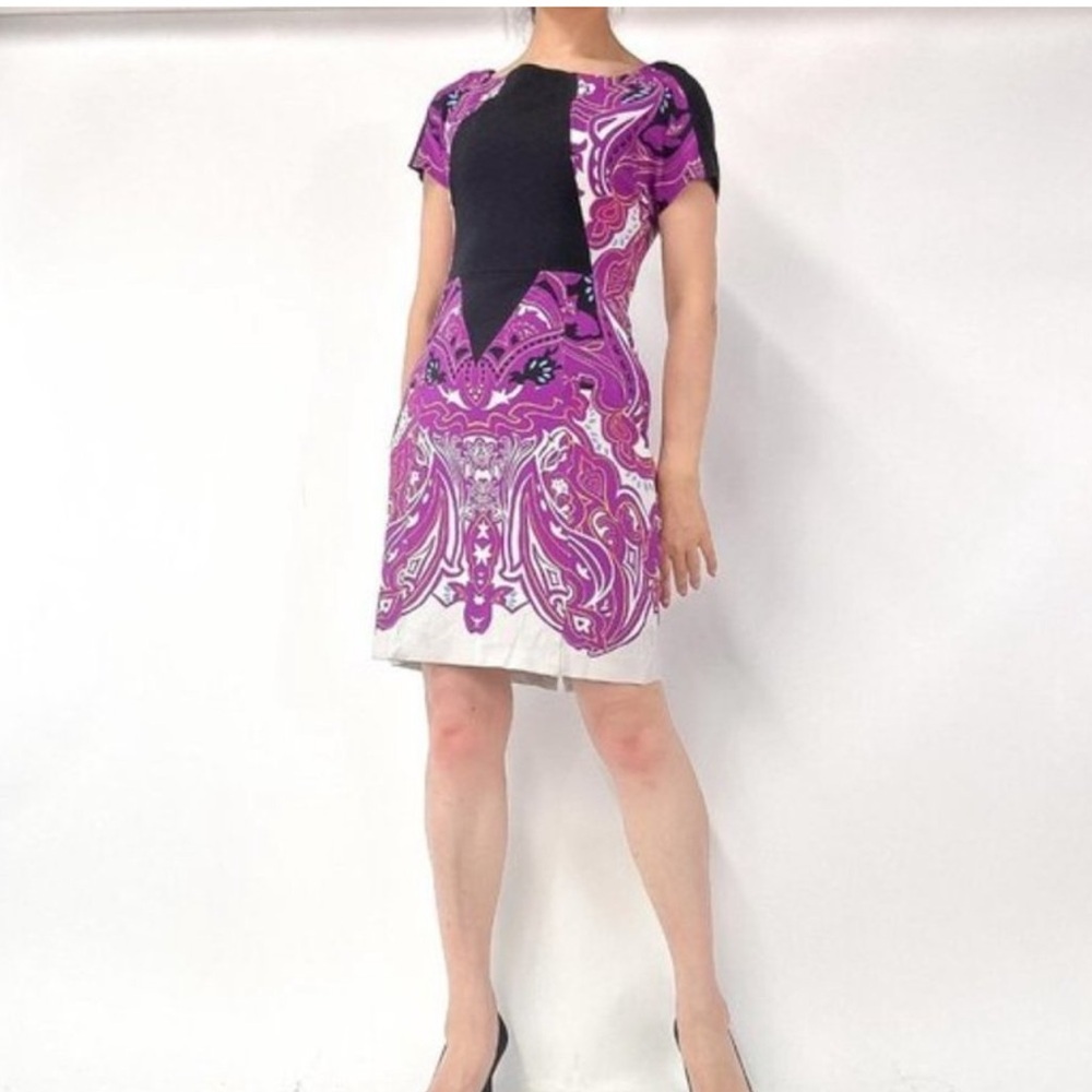 Etro Purple and Black Mini Dress